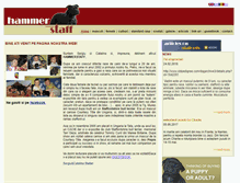 Tablet Screenshot of hammerstaff.com